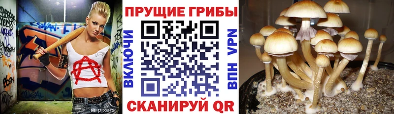 Галлюциногенные грибы мухоморы  ОМГ ОМГ как войти  Полярные Зори 